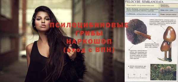 ALPHA PVP Алексин